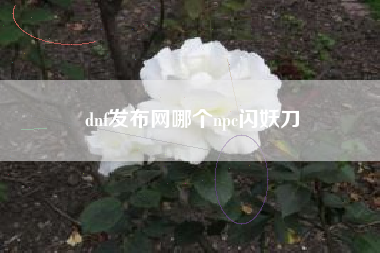 dnf发布网哪个npc闪妖刀