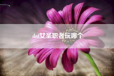 dnf女圣职者玩哪个