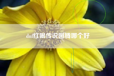 dnf红眼传说图腾哪个好