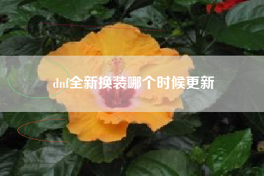 dnf全新换装哪个时候更新