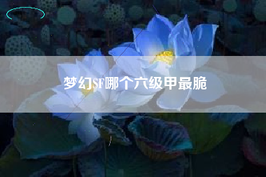 梦幻SF哪个六级甲最脆