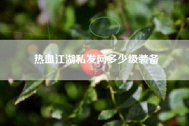 热血江湖私发网多少级装备