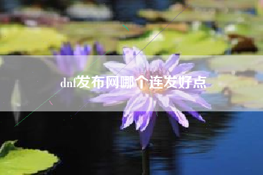 dnf发布网哪个连发好点