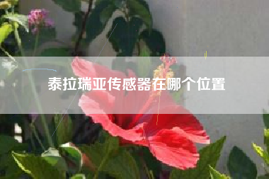 泰拉瑞亚传感器在哪个位置