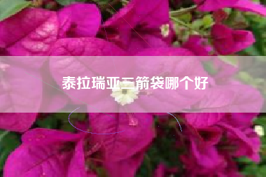 泰拉瑞亚三箭袋哪个好