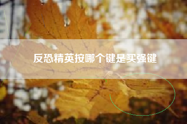 反恐精英按哪个键是买强键