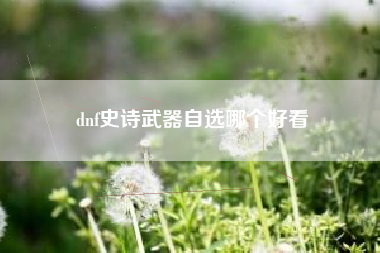 dnf史诗武器自选哪个好看