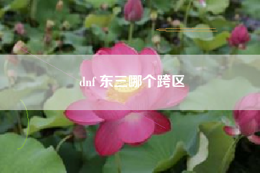 dnf 东三哪个跨区