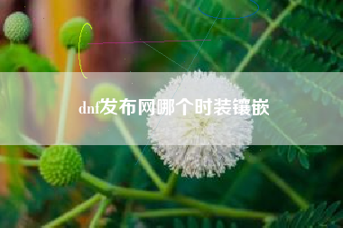 dnf发布网哪个时装镶嵌