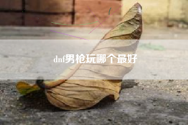 dnf男枪玩哪个最好