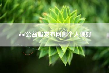 dnf公益服发布网哪个人偶好