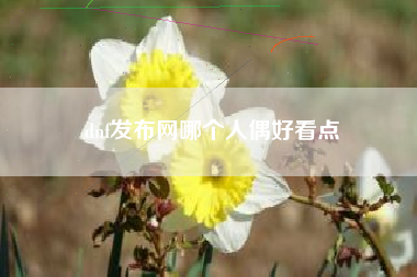 dnf发布网哪个人偶好看点