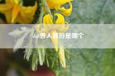 dnf兽人装扮是哪个