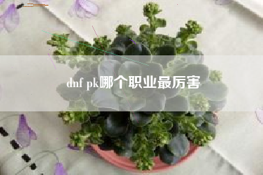 dnf pk哪个职业最厉害