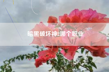 暗黑破坏神2哪个职业