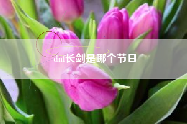 dnf长剑是哪个节日