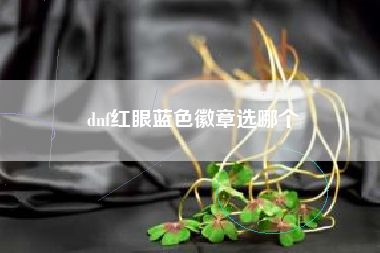 dnf红眼蓝色徽章选哪个