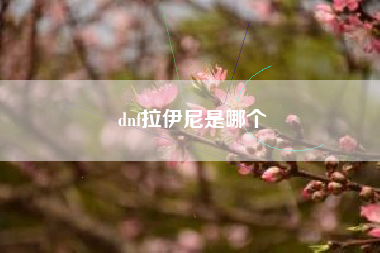 dnf拉伊尼是哪个