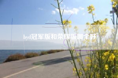 byd冠军版和荣耀版哪个好