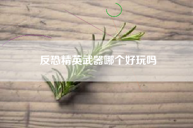 反恐精英武器哪个好玩吗