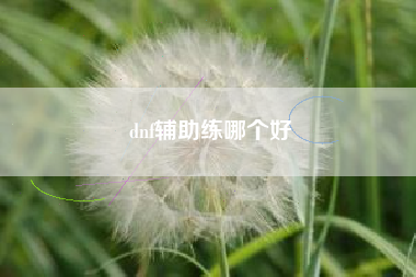 dnf辅助练哪个好