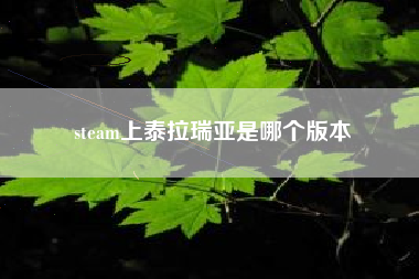 steam上泰拉瑞亚是哪个版本