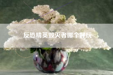 反恐精英毁灭者哪个好玩