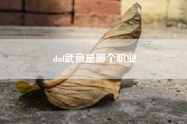 dnf武帝是哪个职业