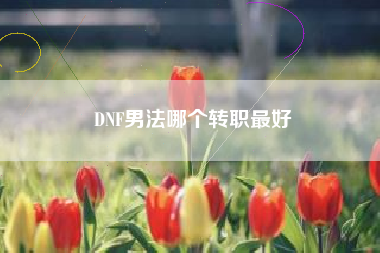 DNF男法哪个转职最好