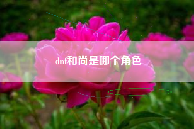 dnf和尚是哪个角色