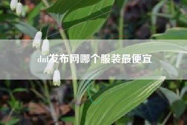 dnf发布网哪个服装最便宜