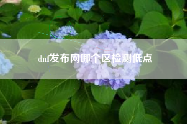 dnf发布网哪个区检测低点