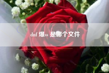 dnf 爆ss 是哪个文件