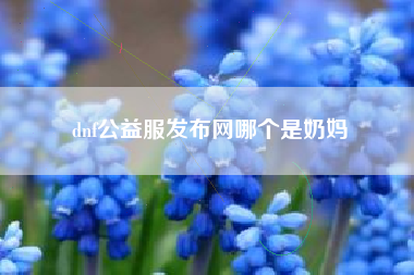 dnf公益服发布网哪个是奶妈