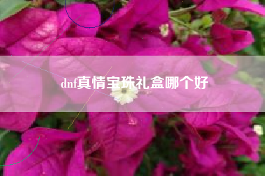 dnf真情宝珠礼盒哪个好