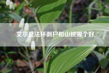 艾尔登法环剥尸和山贼哪个好