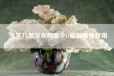 天龙八部发布网哪个tv模拟器最好用