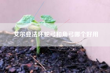 艾尔登法环蛇弓和角弓哪个好用