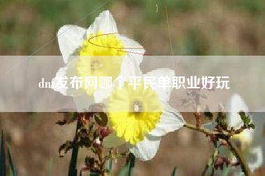 dnf发布网哪个平民单职业好玩