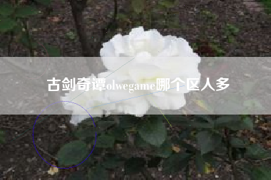 古剑奇谭olwegame哪个区人多