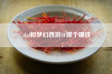 dnf和梦幻西游SF哪个赚钱