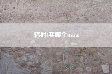 辐射4买哪个steam