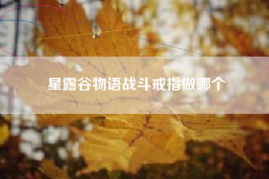 星露谷物语战斗戒指做哪个