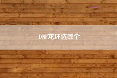 DNF龙环选哪个