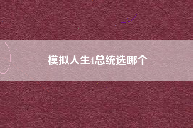 模拟人生4总统选哪个