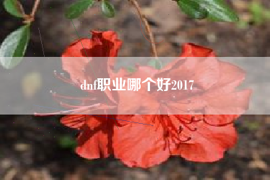 dnf职业哪个好2017