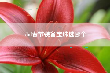 dnf春节装备宝珠选哪个