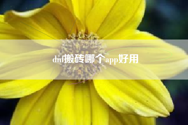 dnf搬砖哪个app好用