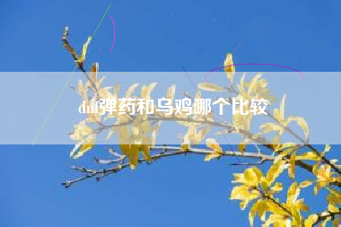 dnf弹药和乌鸡哪个比较