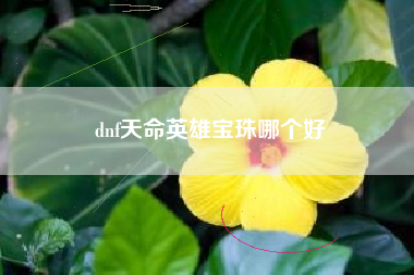 dnf天命英雄宝珠哪个好